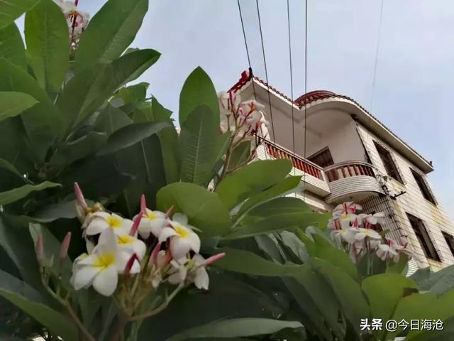 厦门咖啡一条街，厦门环东海域滨海旅游浪漫线（来厦门，必打卡的六个景点）