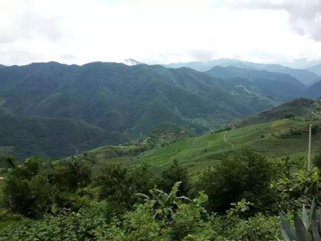 普洱市旅游景点大全，云南普洱有什么景区（发现一个适合发呆放空的好地方）