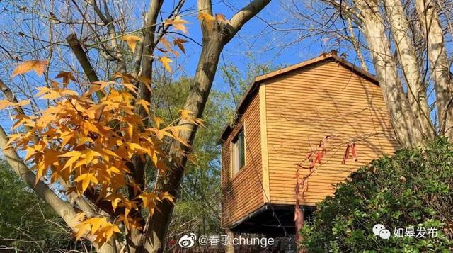 圣迹苍岩田园风光，邂逅最美下驾原