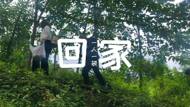 洋姜的做法大全，如何用洋姜做美食（遇见洋姜抓紧囤）