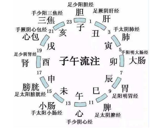 十二经络穴位及歌诀，十二经络的名称