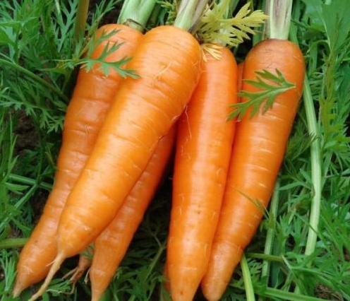 胡萝卜怎样做好吃，胡萝卜怎么做才好吃最简单的