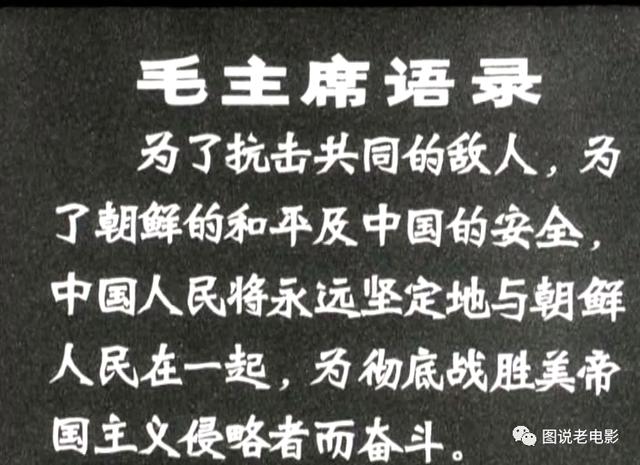 打击侵略者演员表，虎胆英雄真实故事