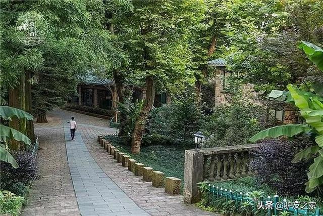 莫干山有什么景点值得去看，莫干山景点介绍