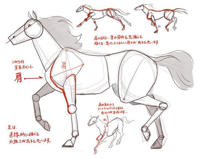 徐悲鸿画马技法，徐悲鸿马画法图（第一次看徐悲鸿画马的过程）