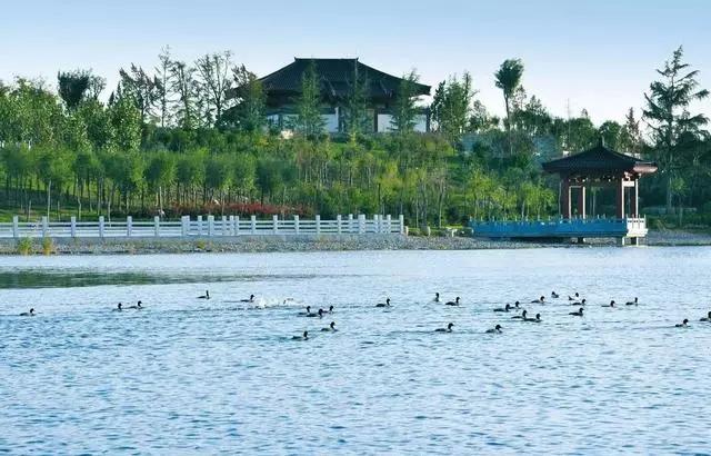 渭南旅游景点排名前十，渭南的旅游景点有哪些地方（渭南这些景区你最喜欢哪里）