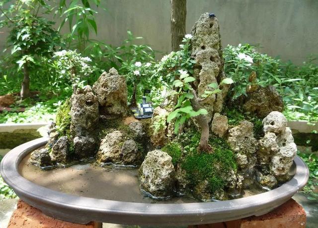 山水石盆景制作图解，将大自然景象融入盆景