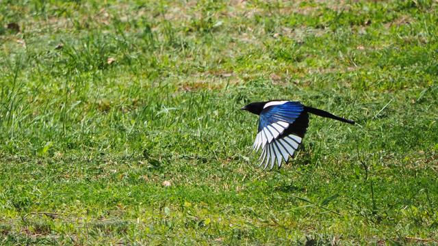 奥林巴斯em1，奥林巴斯em1mark3测评