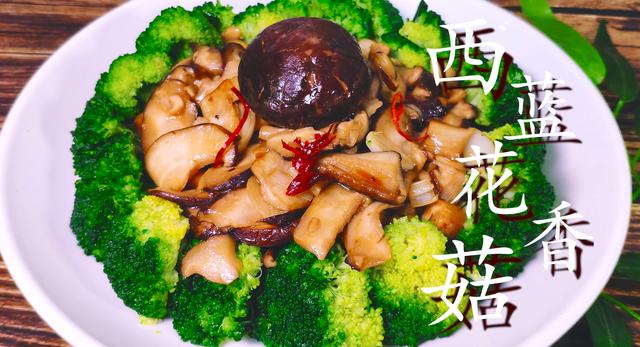 西兰花的家常做法大全，西兰花的各种做法大全家常（西兰花的做法大全）