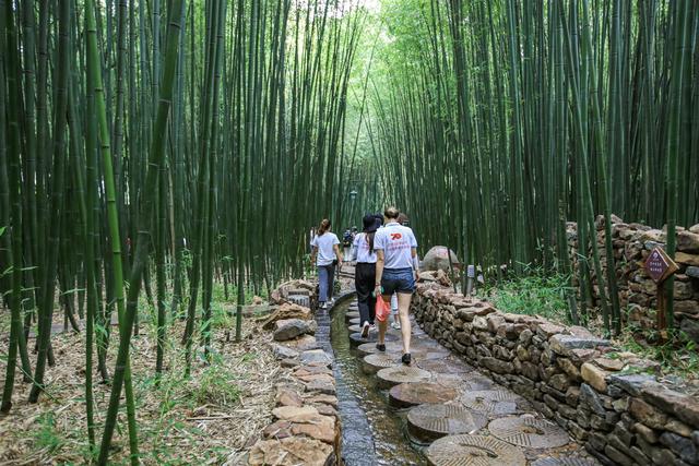 沂南除了竹泉村还有什么景点，乡村旅游精品线路