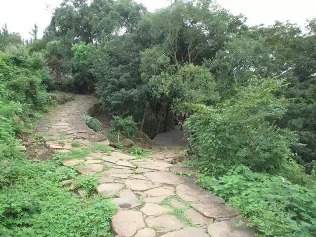 宁波有几个古道可以爬山的，宁波这11条登山健身步道你走过吗