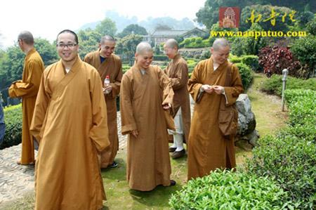 四五年的茶叶黄山毛峰，绿茶——黄山毛峰