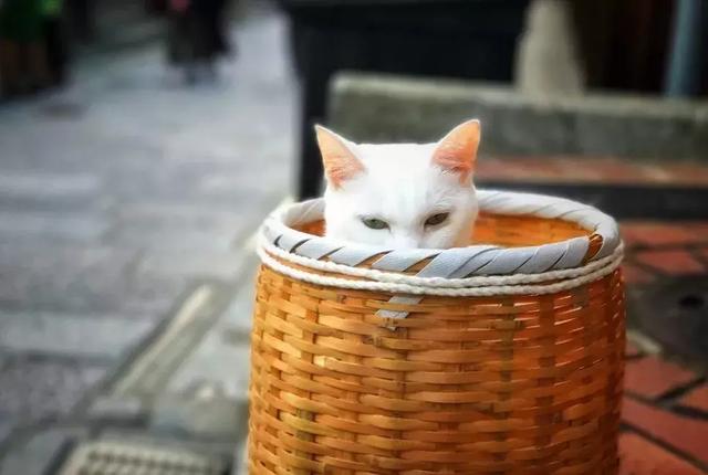 学摄影的一些小知识，这5个知识点不能再错了