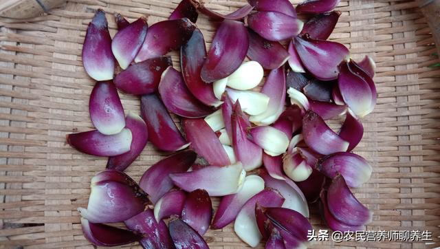 高大的野生百合，紫红色野百合珍贵吗