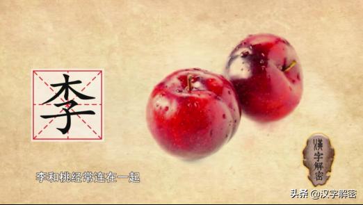 关于姓李的历史由来，姓李的朋友注意