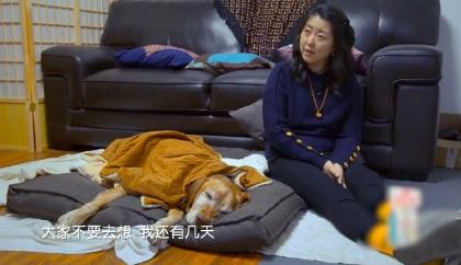 猫用死来提醒主人，猫咪要死的时候会做出怎样的行为