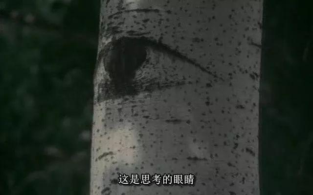 七月与安生电影筹备时间，韩国将翻拍电影《七月与安生》