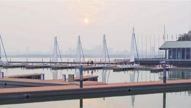 武汉大学的樱花，武汉大学赏樱花去哪里（报！武汉大学早樱开了）