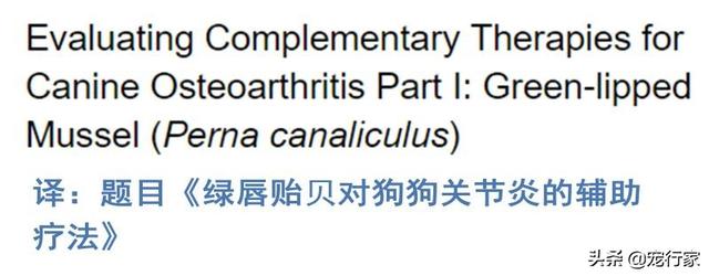 五爪贝饲养最全攻略，五爪贝终于实现人工繁殖啦