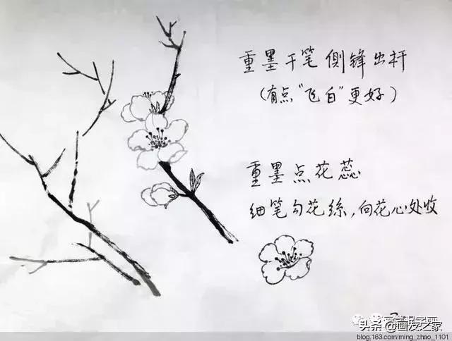 花鸟工笔画的基本步骤，工笔花鸟画法合集