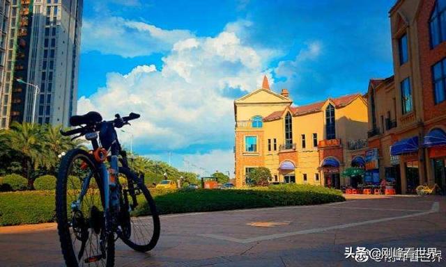 海南省花叫什么花，海南省花——三角梅