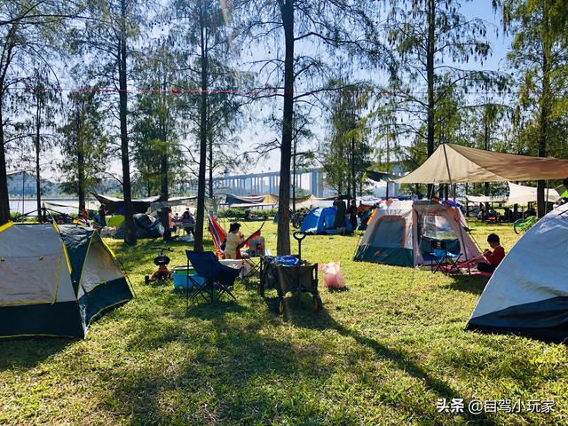 广州自驾露营有哪些地方，广州这5个地方真是绝了