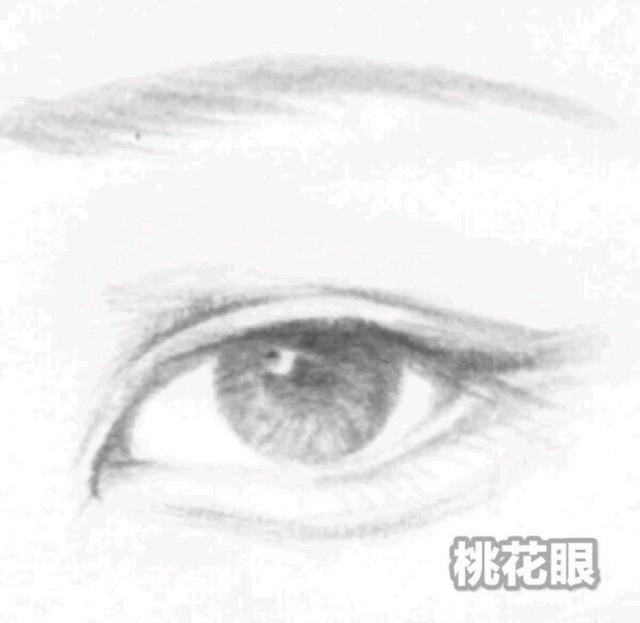 好看的单眼皮眼型，公认好看的五种眼型