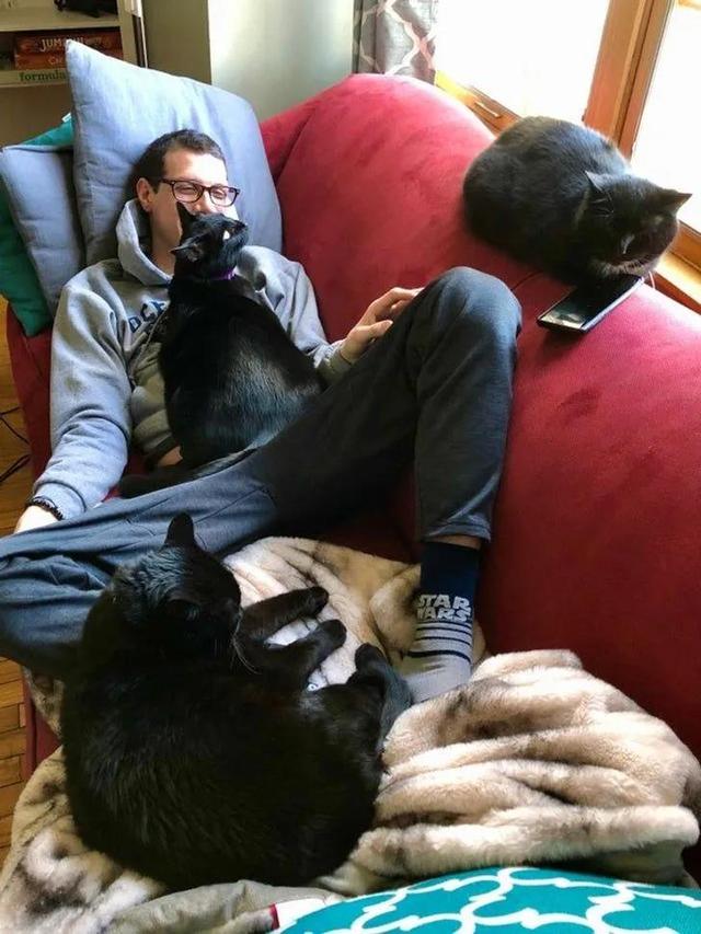 并不是所有人都适合养猫咪，有一部分人根本不适合养喵