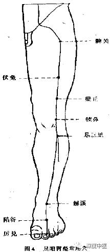 归来穴位置最简单的取穴方法，足阳明胃经45个针灸穴位图