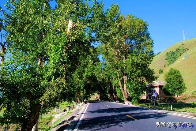 新都桥草原风景，新都桥—塔公草原—雅砻江河谷——迷人的夏季风光