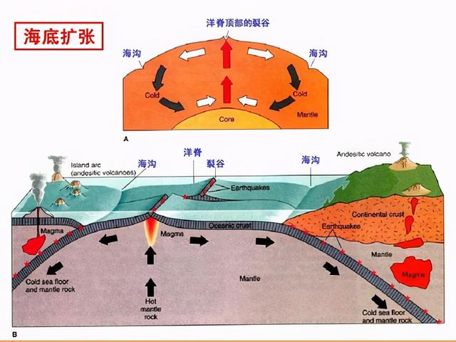 大陆漂移和板块构造，陆地板块漂移假说