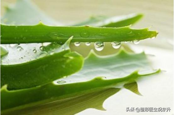 芦荟胶去黑头和祛痘印，芦荟胶可以祛痘