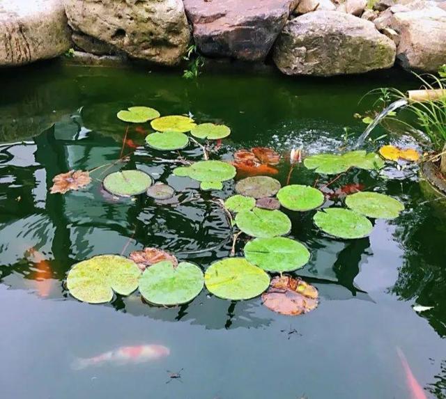 庭院水景观怎么设计，庭院中式元素—叠水