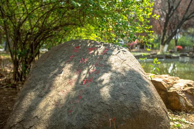 江苏师范大学排名，江苏师范大学江苏省排名第几（泰院无缘前五）