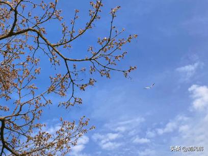 夏天的句子短句唯美，夏天气息唯美句子（关于夏天的句子唯美文案）