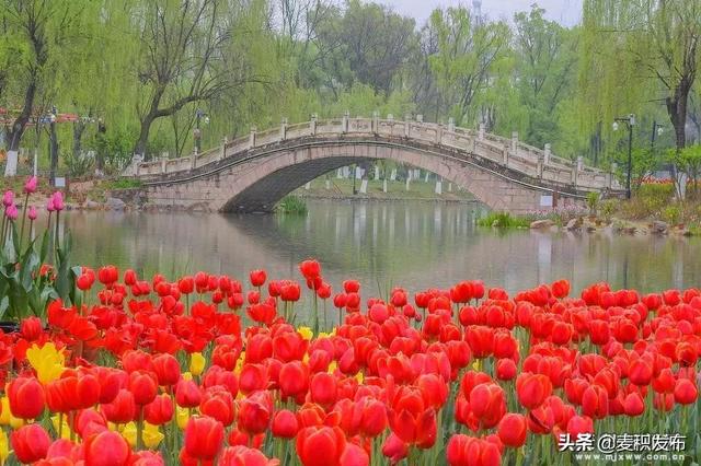 麦积区旅游景点大全，五一游麦积