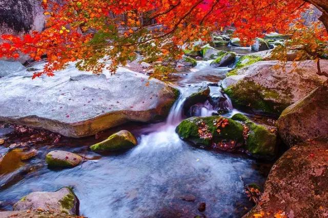 辽宁旅游必去的地方是哪里，辽宁这几处网红打卡景点