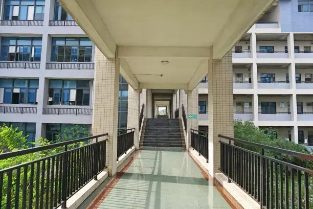 广东最好的大专，广东省最好的五间大专院校