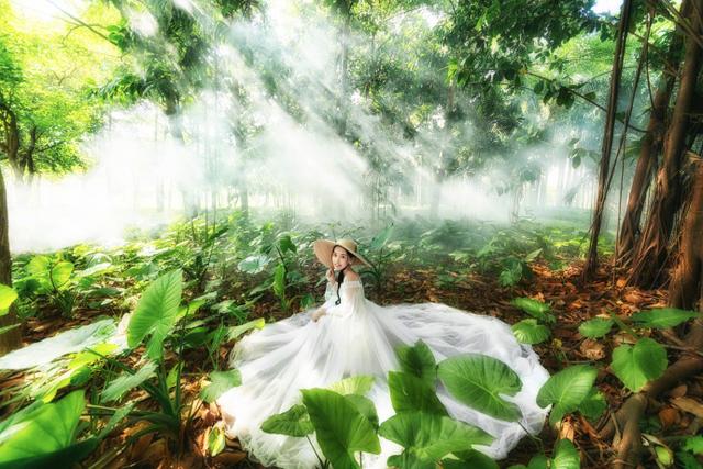 史密斯夫妇插曲，婚礼求婚音乐歌曲有哪些