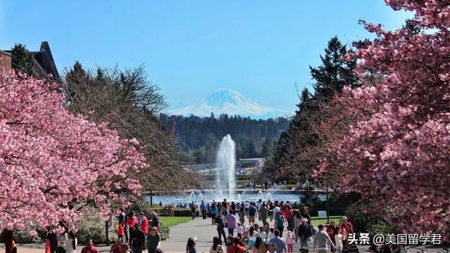 uw是什么意思，uw是哪个大学（华盛顿大学相当于中国什么等级的大学）
