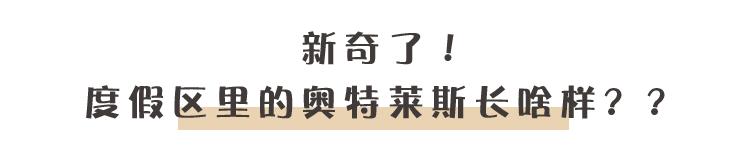 南京奥特莱斯折扣店哪个最大，解锁“文学之都”的浪漫