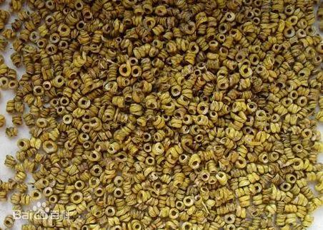 两广最适合的石斛，紫楹仙姝何处寻