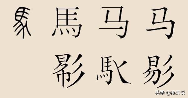 和秦始皇有关的姓氏有哪些姓，这4个姓氏很有可能是秦始皇的直系子孙