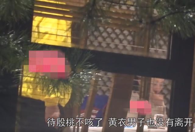 殷桃微博情史，殷桃绯闻男友身份被扒