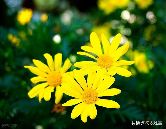 深秋诗句最经典十首诗，早冬田园美诗六首清赏