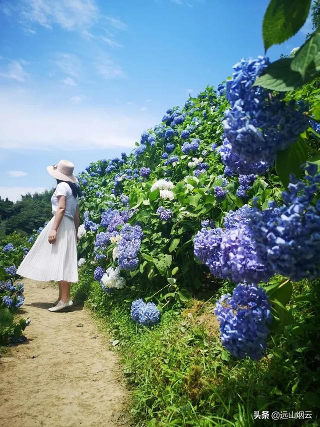 自拍杆使用方法大全，手把手教你使用自拍杆