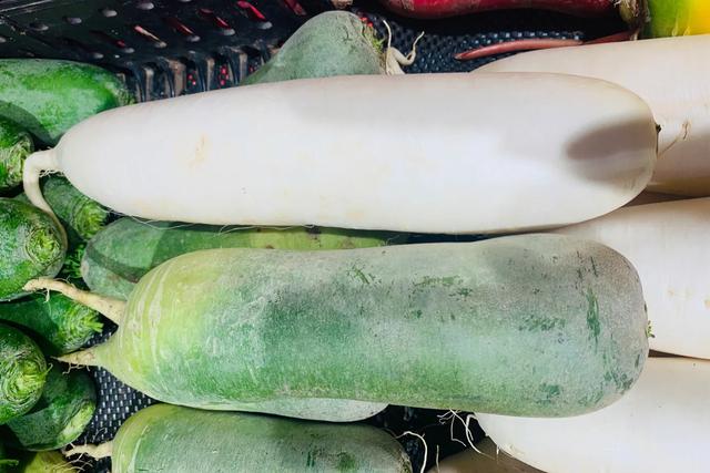 白萝卜选购技巧，白萝卜批发价格多少钱一斤