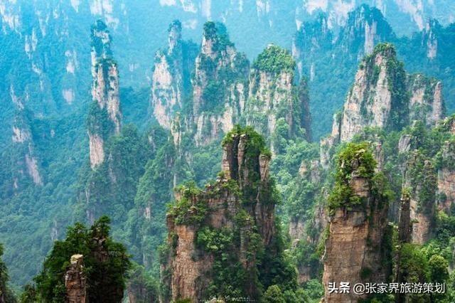 张家界旅游几月份去好，去张家界几月份旅游最好时间（张家界旅游什么时候去最好）