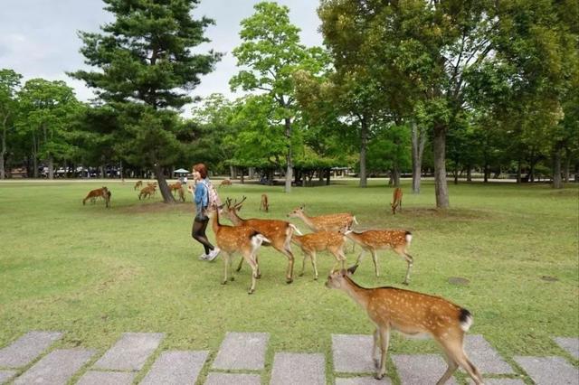 鹿回头公园游玩时间，海南环岛自驾第十三日