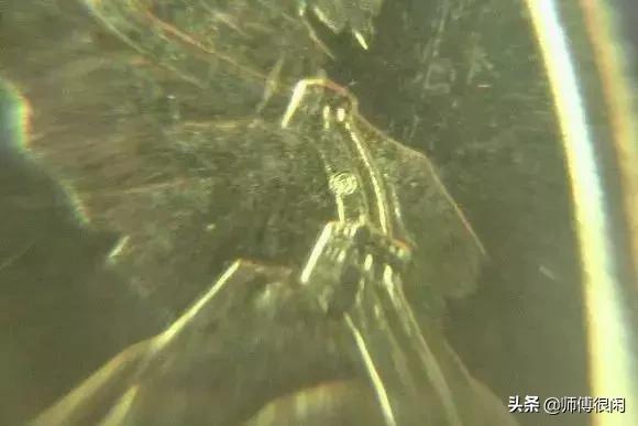 早期纪念币怎么收藏，新人学习收藏纪念币的五个建议